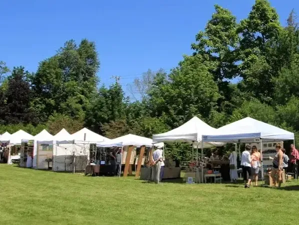 प्रदर्शनी पालहरूको प्रयोग