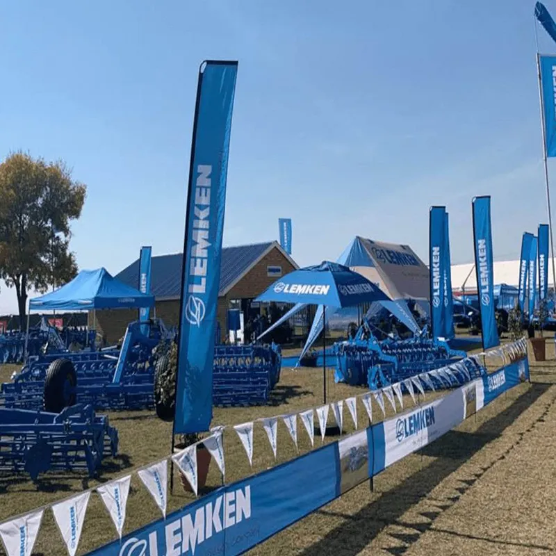 समुद्र तट झण्डा